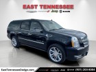 2011 CADILLAC ESCALADE ESV PLATINUM EDITION 2011 CADILLAC ESCALADE ESV PLATINUM EDITION