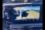 GMC in great condition 2026 GMC SIERRA 2500HD AT4 CROSSVILLE, TN